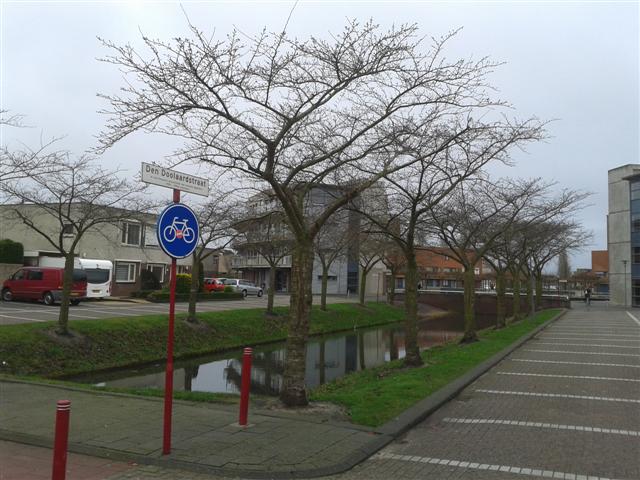 Den Doolaardstraat, Oud-Beijerland Zicht op de Den Doolaardstraat in Oud-Beijerland